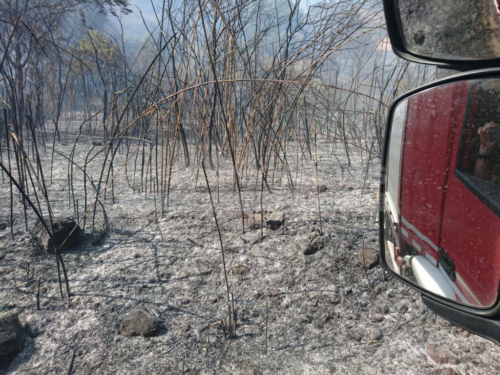 incendi calabria