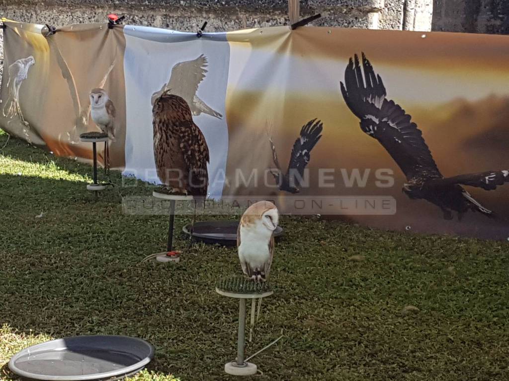 La Sagra degli Uccelli di Almenno