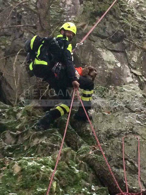 Cane salvato a Santa Brigida