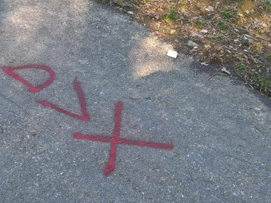 Vandali al Parco dei Colli