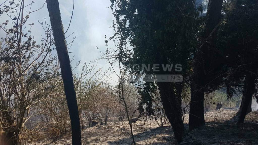 Bosco in fiamme ad Aviatico