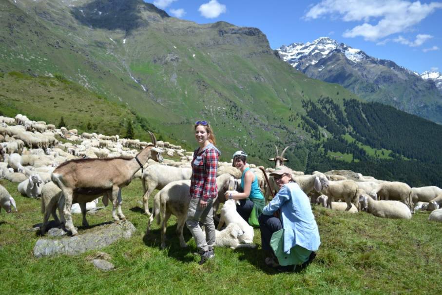 Torna Pasturs, giovani volontari accanto ai pastori
