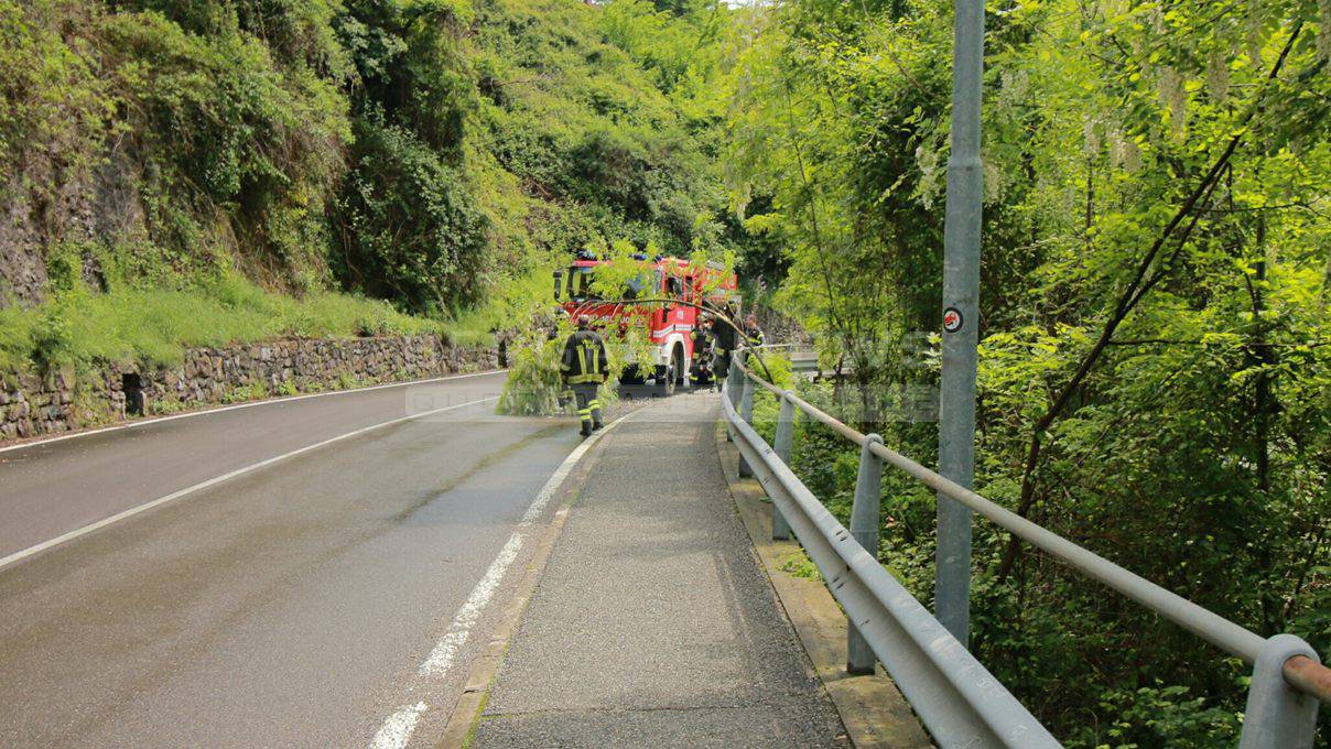 vigili del fuoco