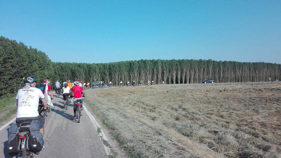 Giri in bici lungo il Po