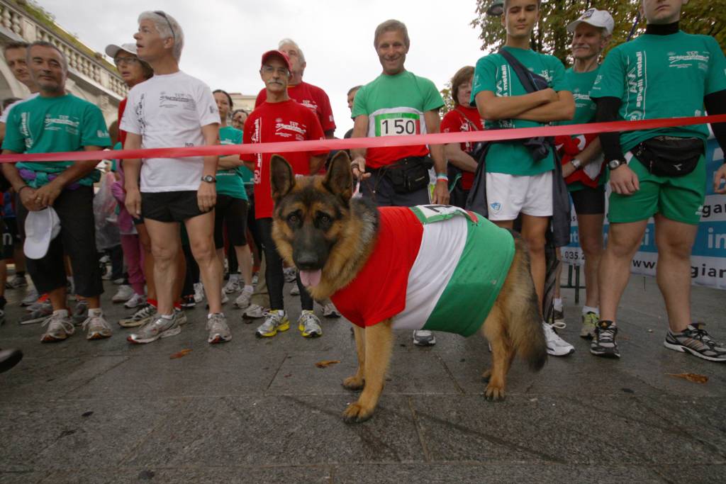 Novità alla StraBergamo: i punti ristoro per i cani