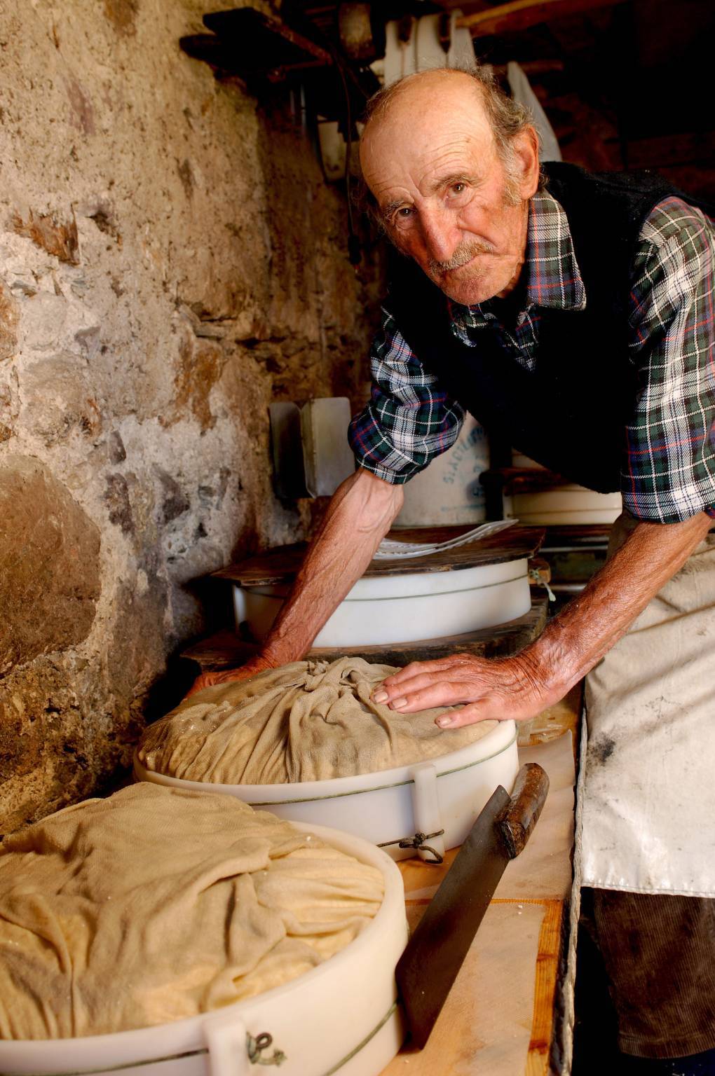 “A scuola di… formaggio”, dal Bergamino ai Tempi Moderni