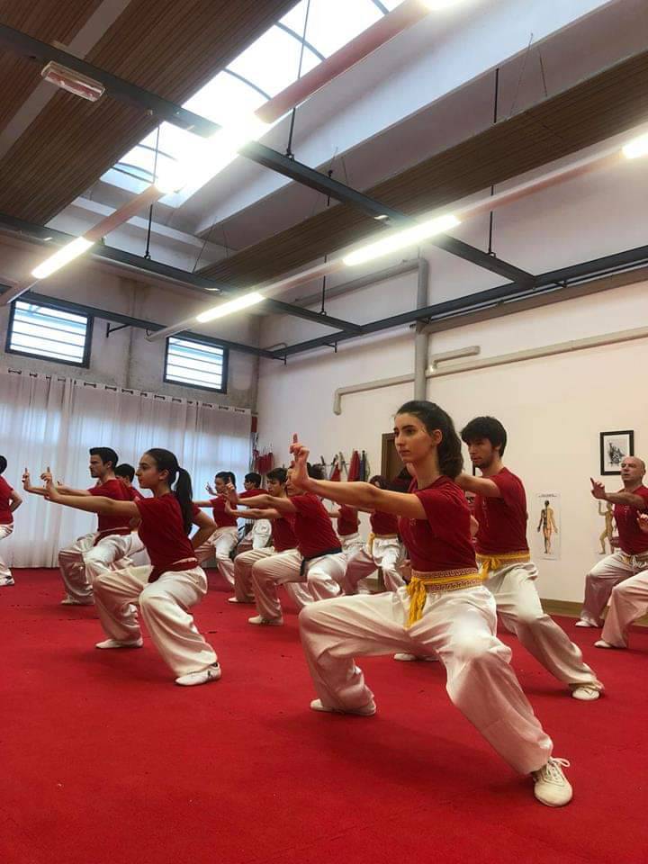 Il Wushu Kung Fu e i suoi stili