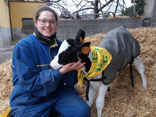 Arriva il gran freddo: a Brembate Sopra cappottini per i vitellini
