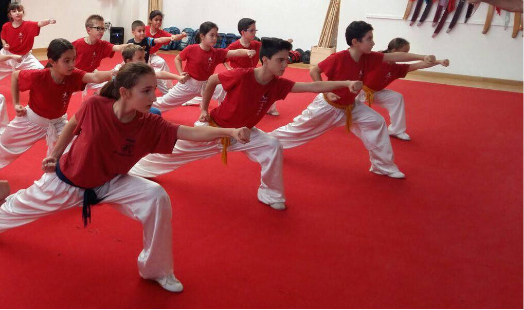 Wushu Kung Fu