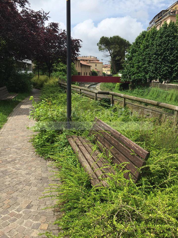 Parco dei giusti a Bergamo sommerso dall'erba