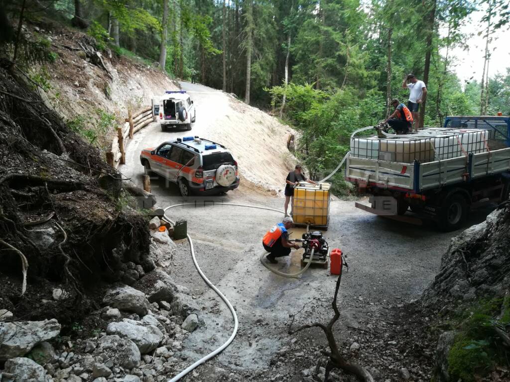 Mucche senz'acqua in alpeggio