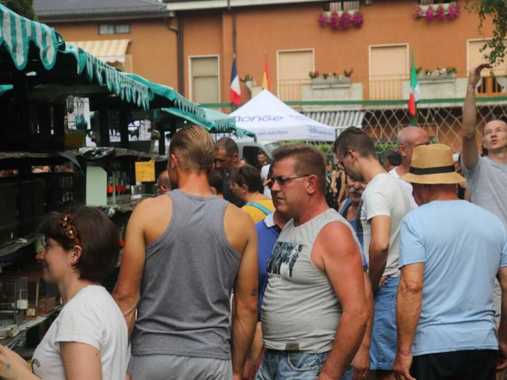 Sagra Regionale degli Uccelli di Almenno Salvatore 2019