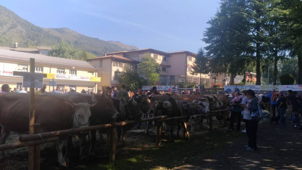 Mostra zootecnica di Clusone