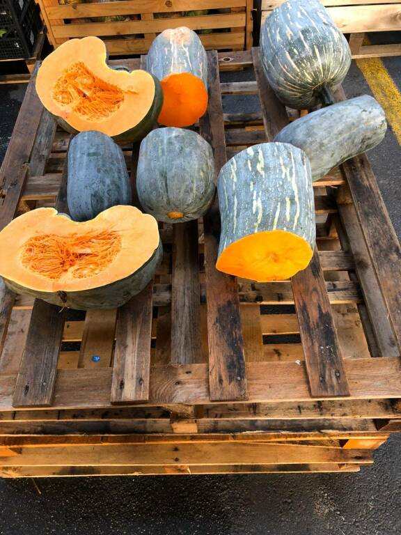 Ornamentali per Halloween o da mangiare, al mercato è tempo di zucche