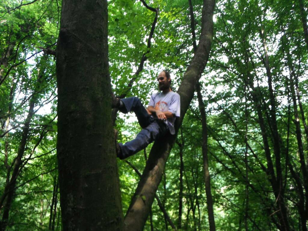 Il maestro Max Archetti: il bosco come luogo per meditare e allenarsi