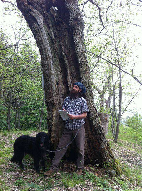 Il maestro Max Archetti: il bosco come luogo per meditare e allenarsi