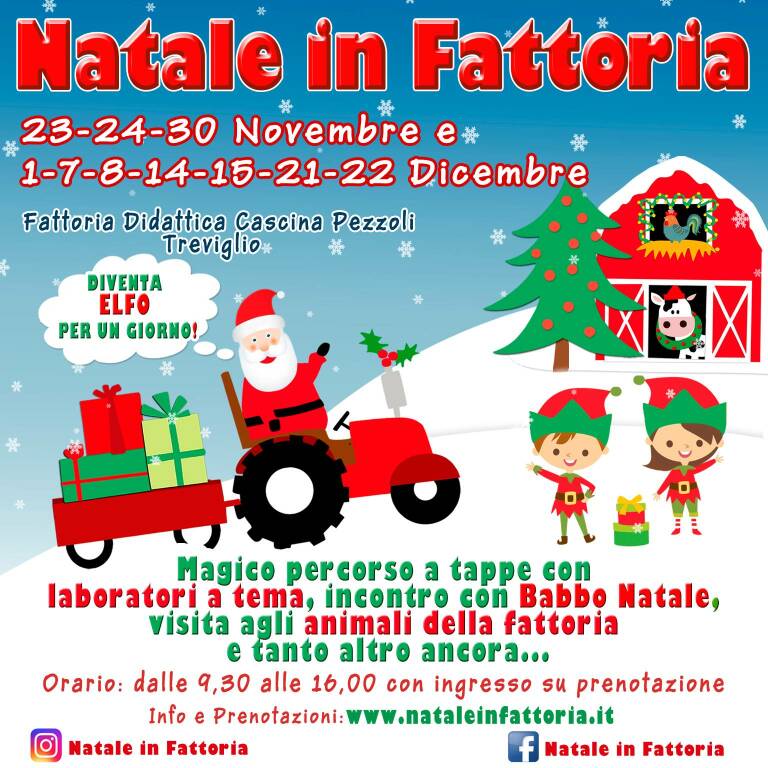 Natale in fattoria