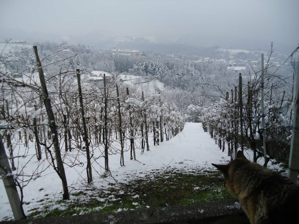 I prodotti dell'azienda agricola "La Corona"