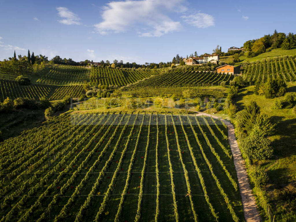 San Valentino in Cantina a Il Cipresso, degustazione Moscato di Scanzo