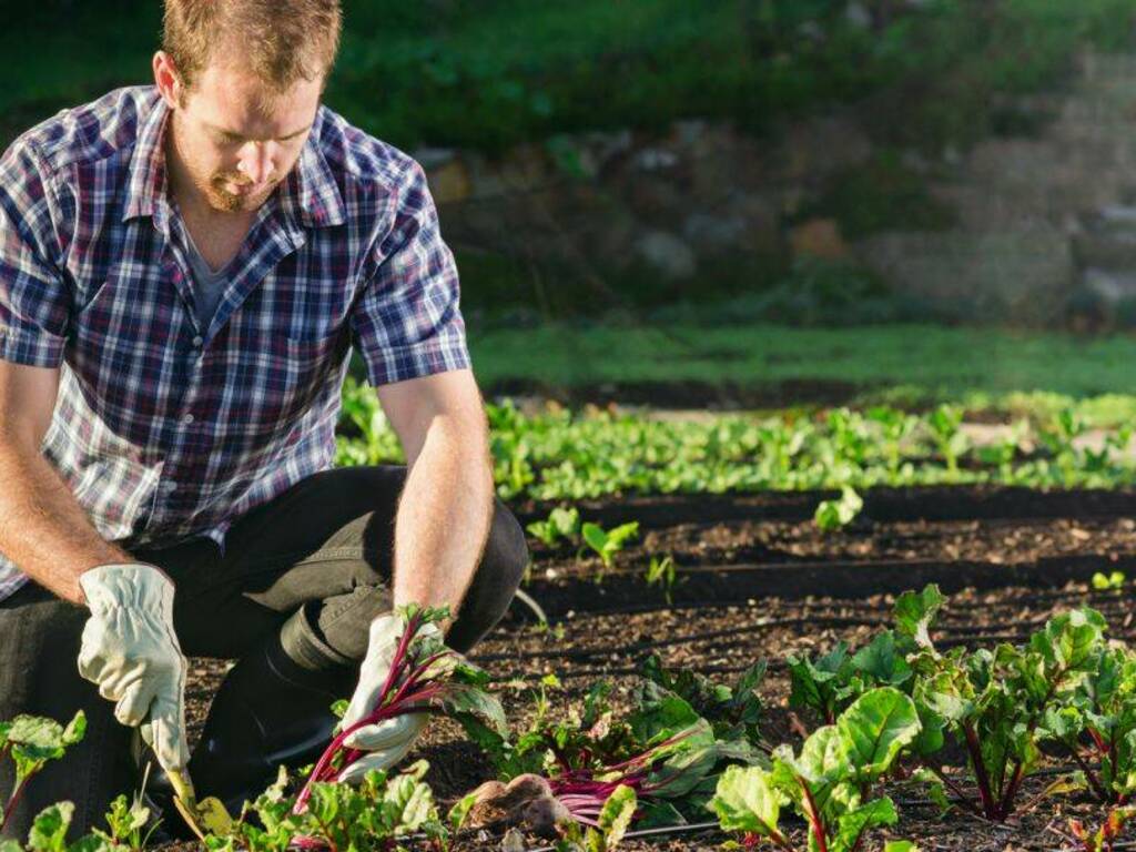 giovani agricoltori 