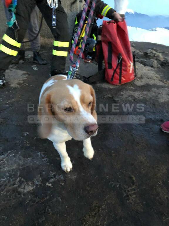 Pizzo Formico, cane precipita in un burrone: intervengono i Vigili del fuoco