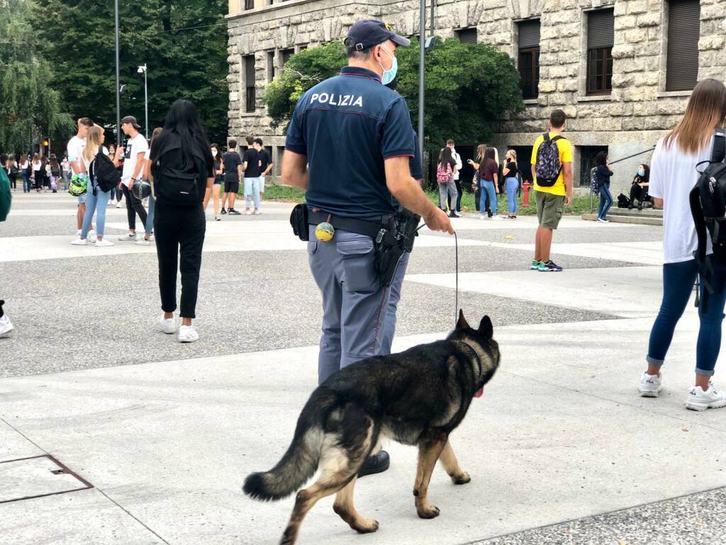 polizia droga cani