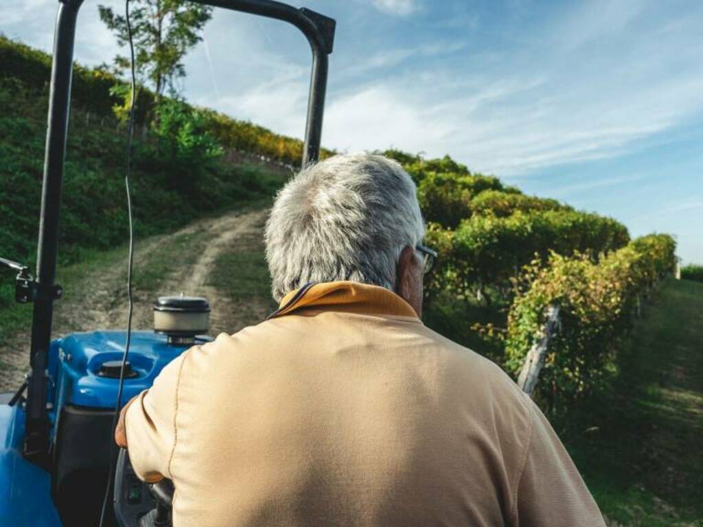 Agricoltura foto di Andrea Cairone per Unsplash