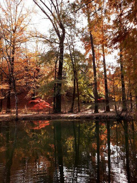 Autunno sul lago d'Endine