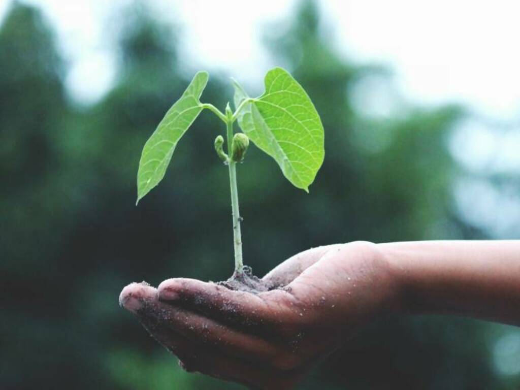 Seminare Valore, Coltivare Comunità. Evento di presentazione del progetto