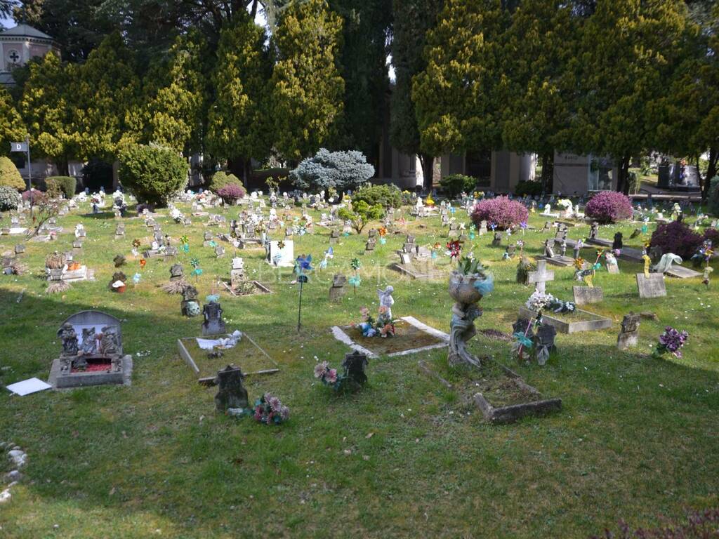 Il cimitero dei bambini di Bergamo 
