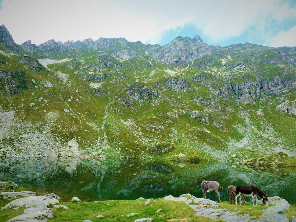 lago cernello