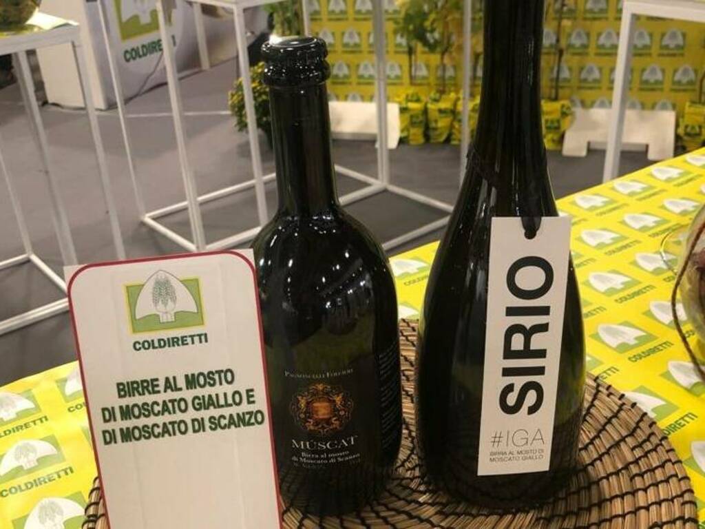 birra moscato