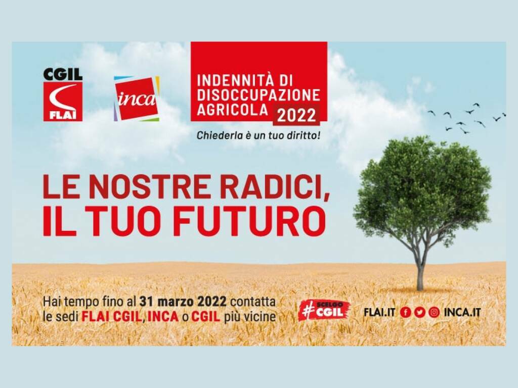 Disoccupazione agricola: con Flai CGIL puoi già raccogliere la domanda per il 2021