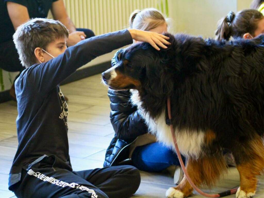 Educazione civica con Fido