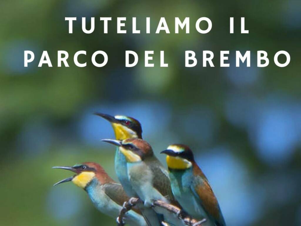 stop caccia nel parco del brembo