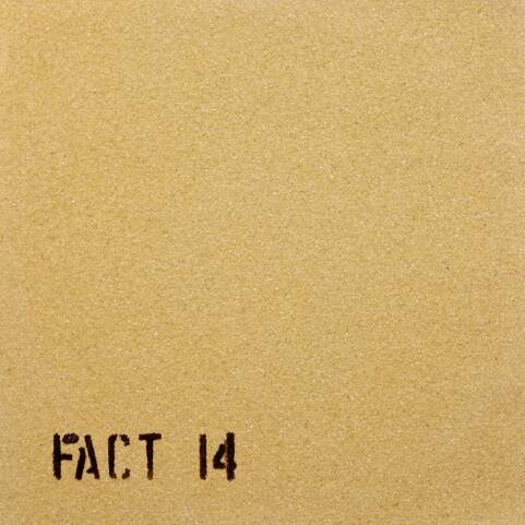 fact 14
