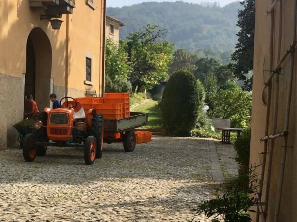 BOOK&WINE. ANDREA DEI CASTALDI PRESENTA: FINISTERE, LA CESURA, ANIME BREVI (BARTA 2013-2021)