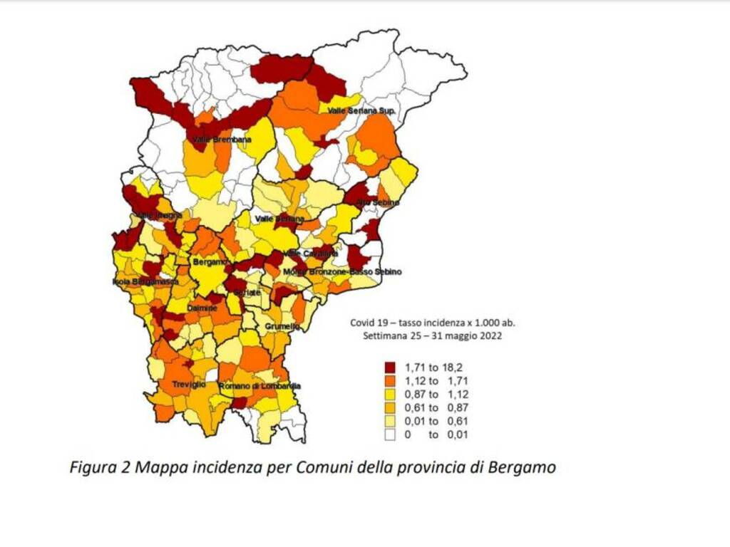 covid dati Ats bergamo