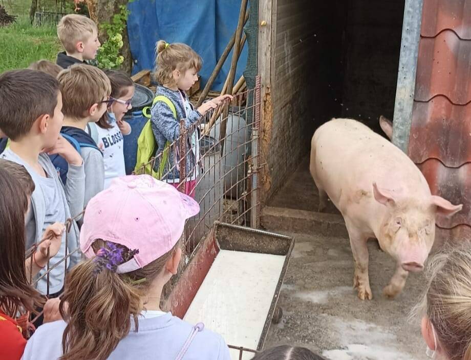 "Sentieri che uniscono", a Casnigo la scuola scopre il territorio