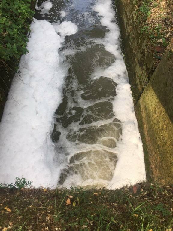 Corsi d'acqua inquinati in provincia di Bergamo