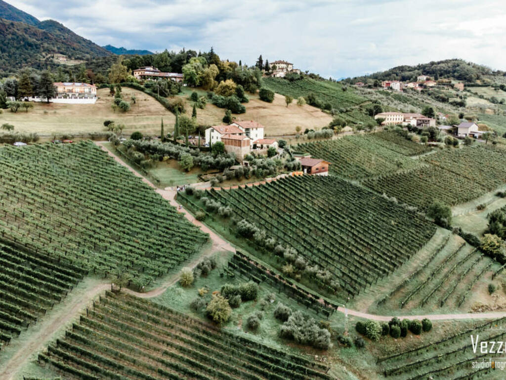 16/10 Il Cipresso apre la cantina: degustazione Moscato di Scanzo DOCG  e Valcalepio DOC