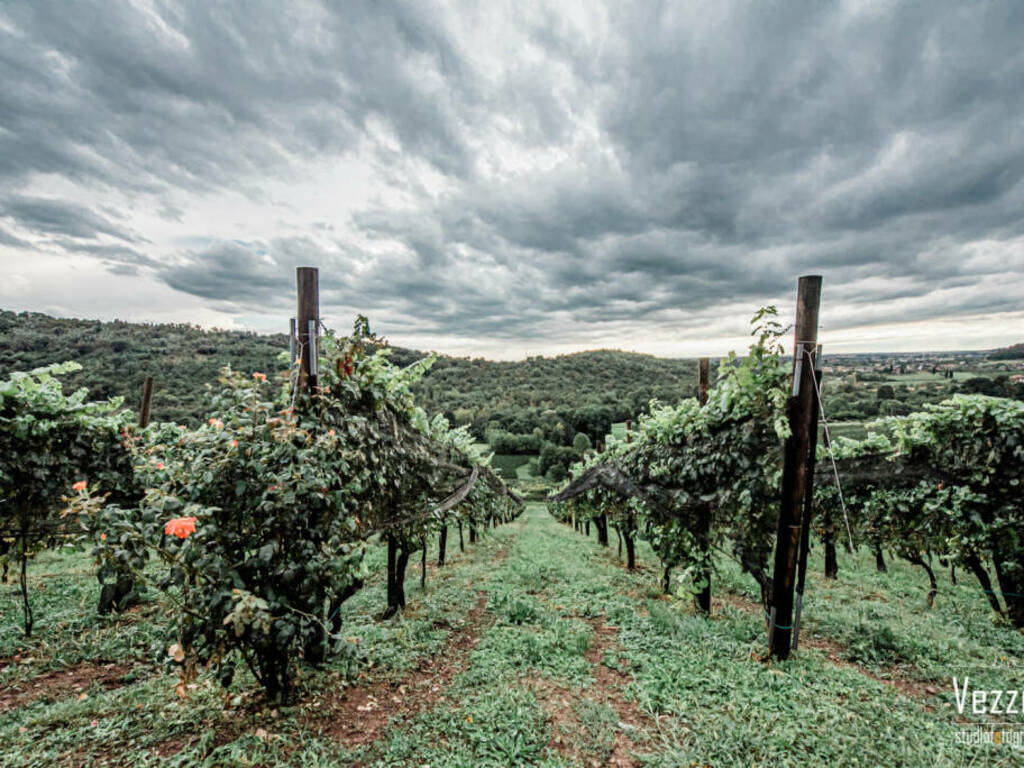 16/10 Il Cipresso apre la cantina: degustazione Moscato di Scanzo DOCG  e Valcalepio DOC