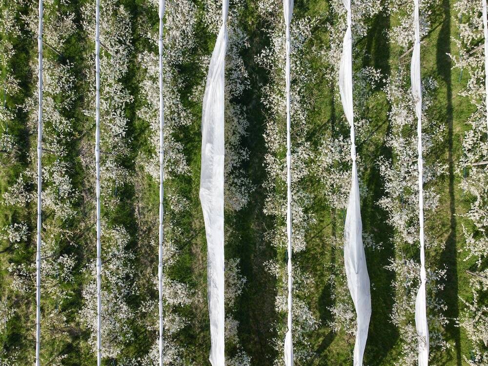 Tracciati in volo di Mario Albergati