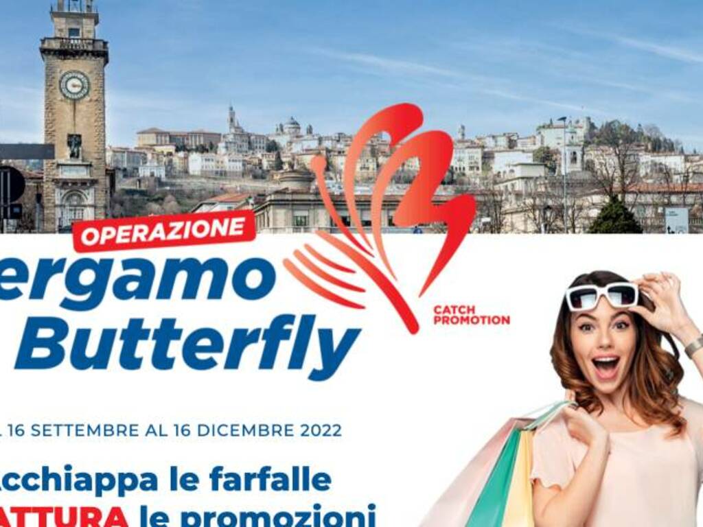 bergamo butterfly