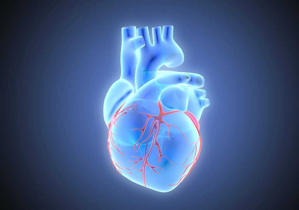 Stenosi valvolare aortica: il convegno sulle nuove modalità terapeutiche