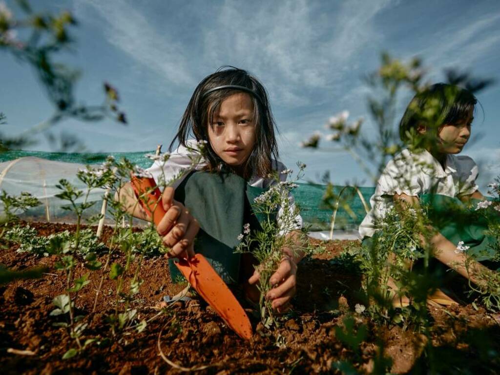 Il Myanmar a Bergamo con la mostra "Semi di speranza"