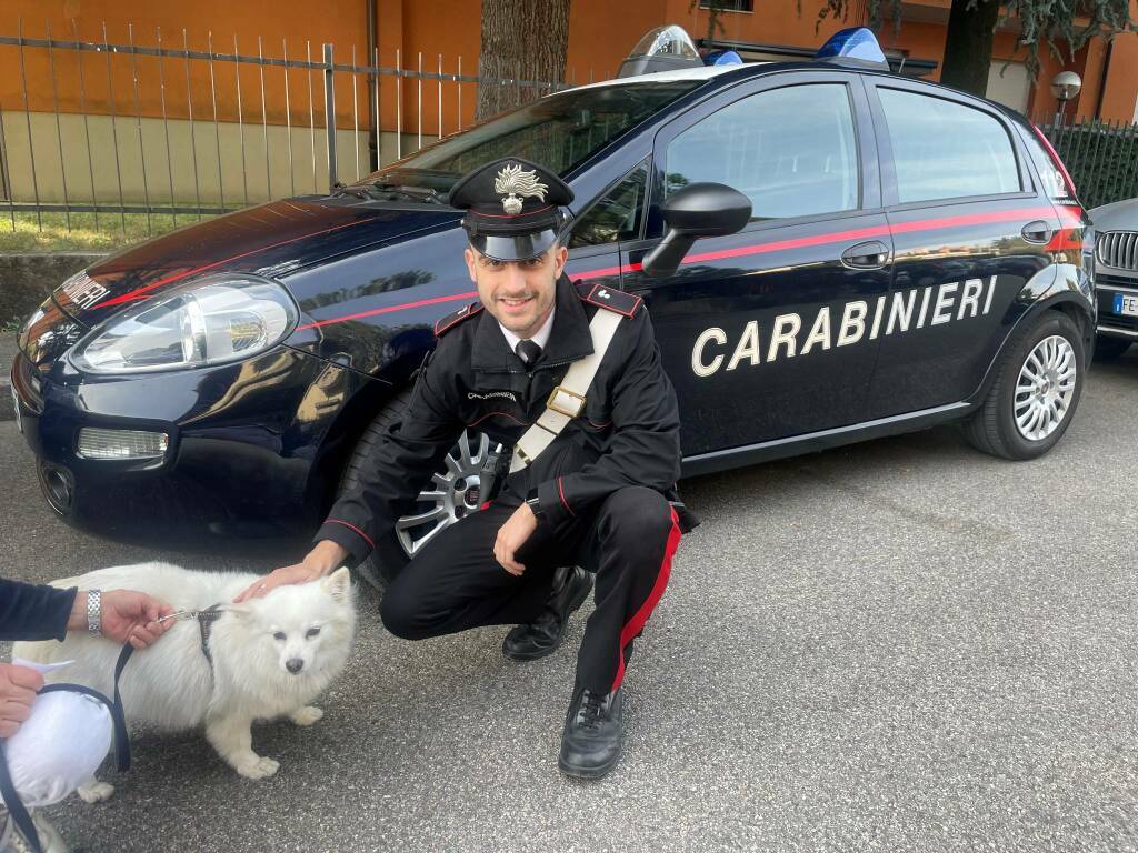 Carabinieri Cane Flo