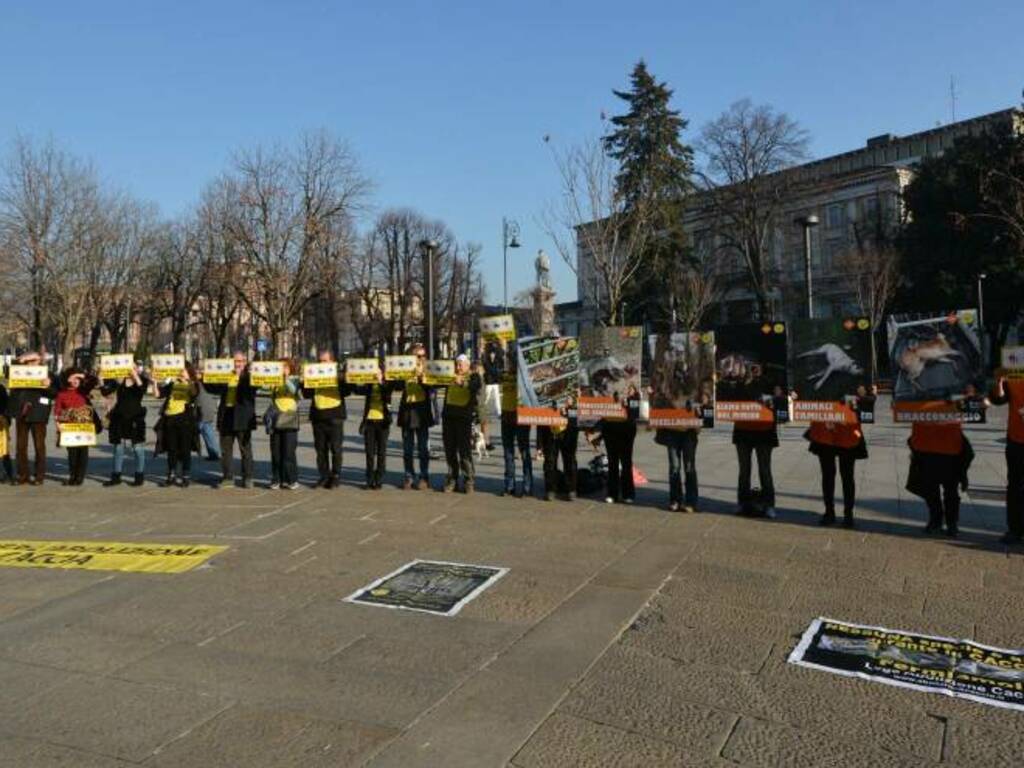 protesta contro la caccia