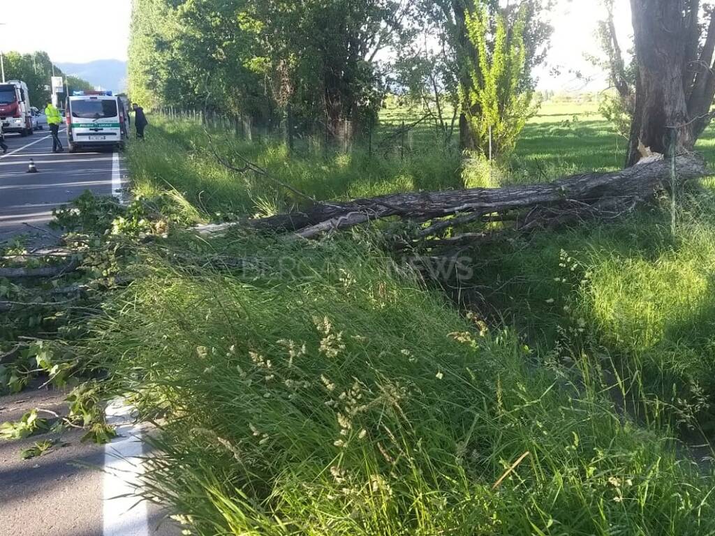 Cade un albero in strada, motociclista sbanda e si schianta: muore 53enne